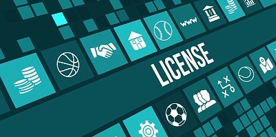 Top Gaming Licences
