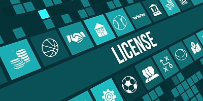 Top Gaming Licenses