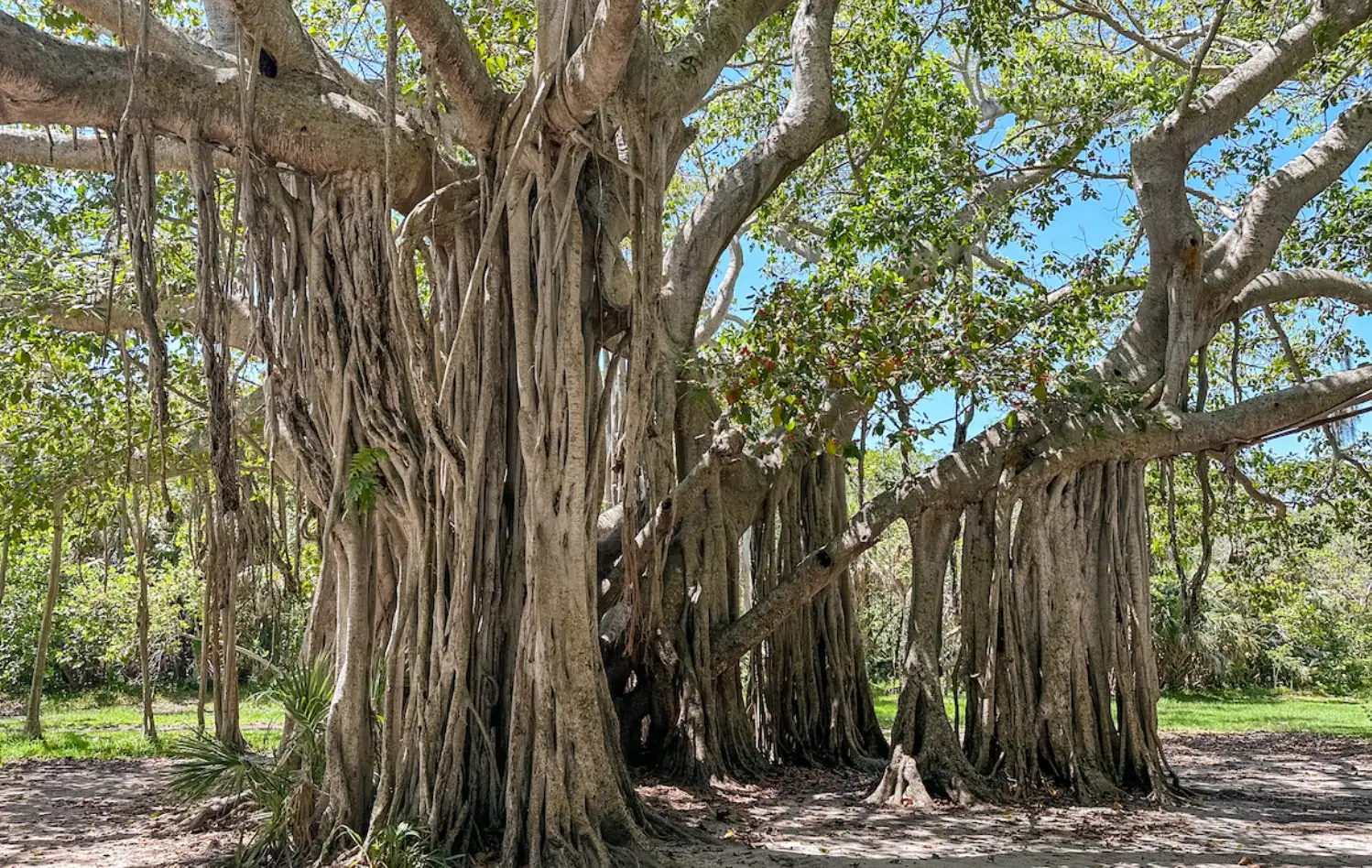 Hugh Taylor Birch State Park