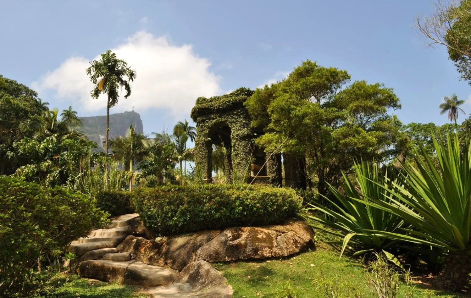 Jardín Botánico de Río de Janeiro