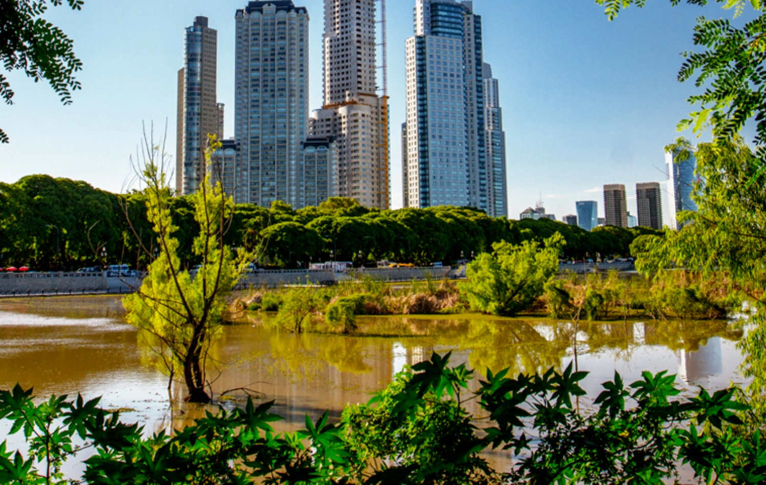 Reserva Ecológica Costanera Sur