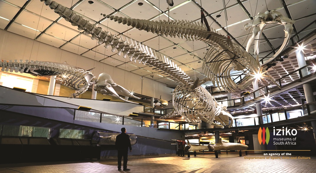 Iziko South African Museum
