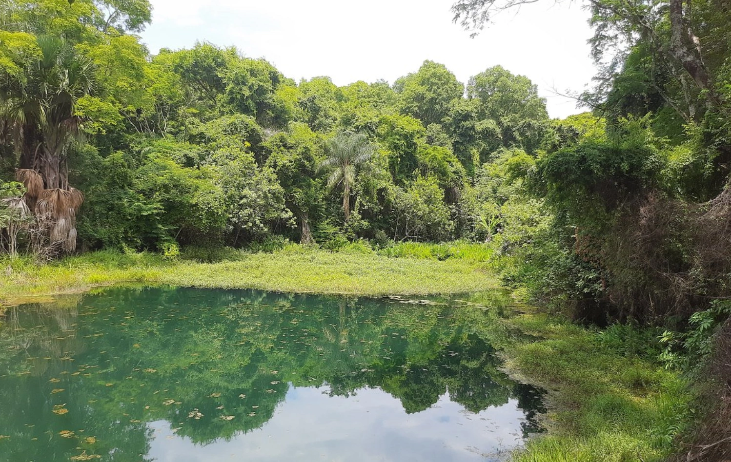 Parque Olhos D'Água
