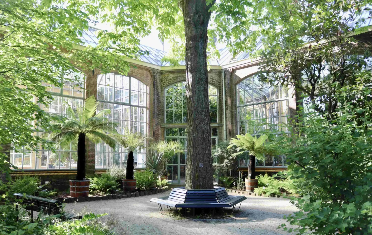 Hortus Botanicus Amsterdam