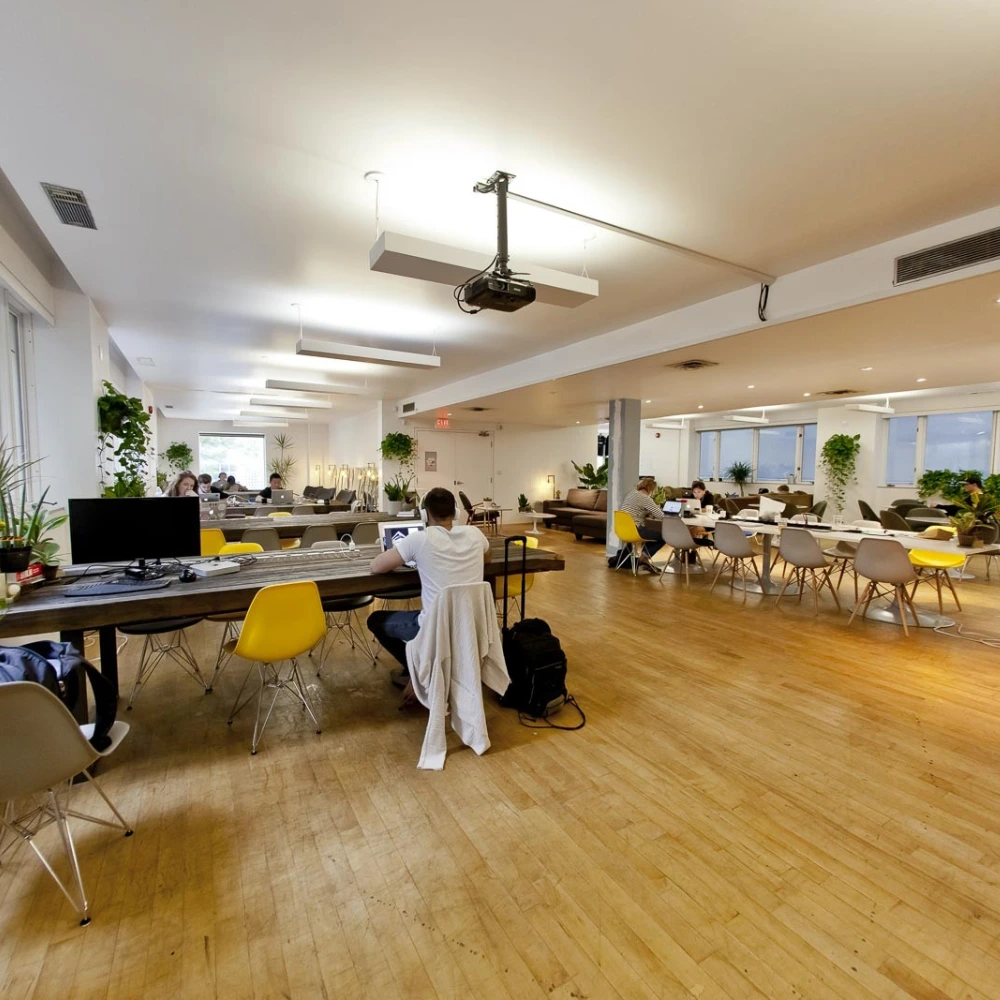 Project Spaces Camden Street